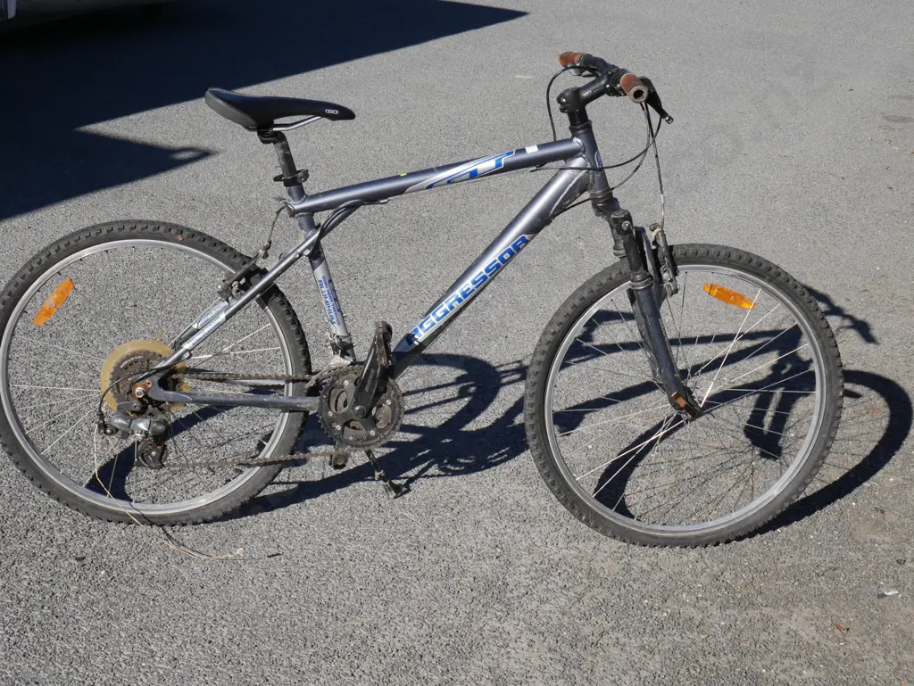 Aggressor mountain bike Image 1++