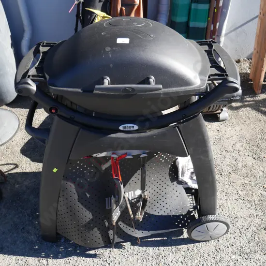 Weber BBQ