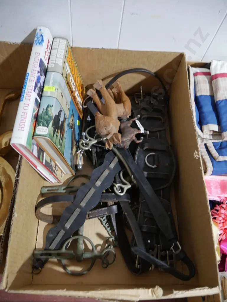 Horse leathers etc Image 1++