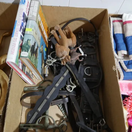 Horse leathers etc