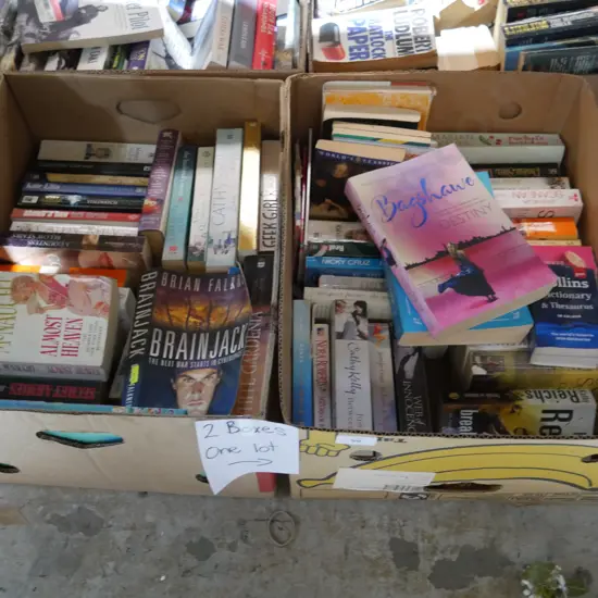 Two boxes of books