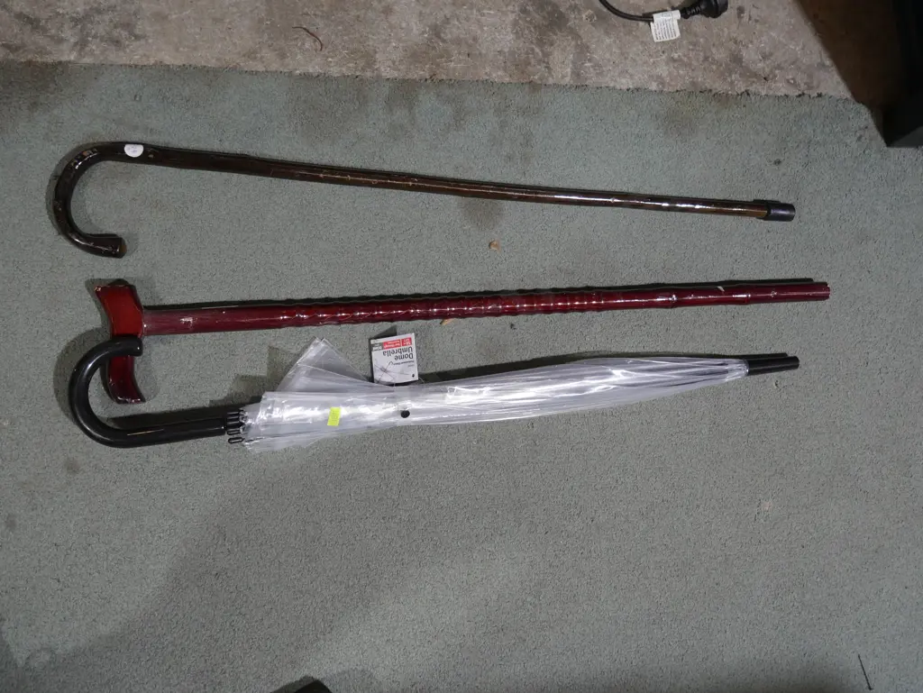 Walking sticks etc Image 1++