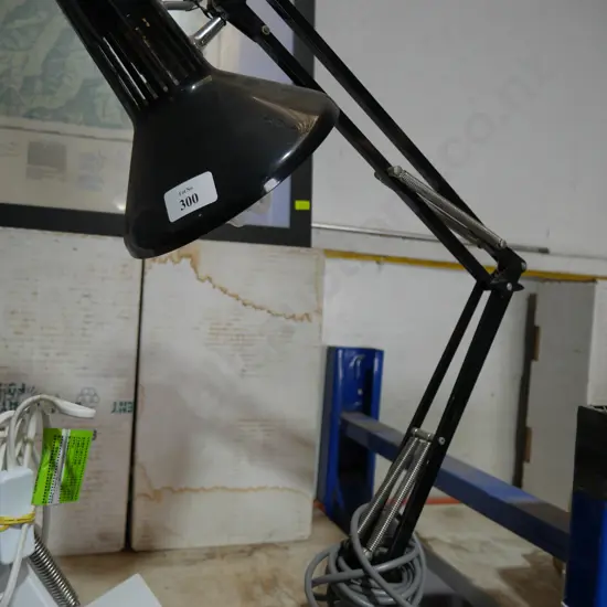 Angle poise lamp