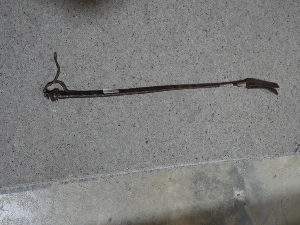 Leather whip Image 1++