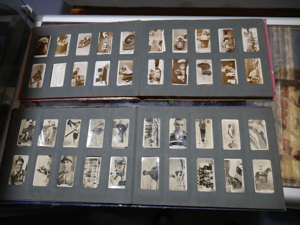 Two cigarette card albums Image 1++