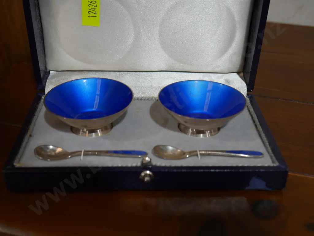 Sterling silver and enamel open salts Image 1++