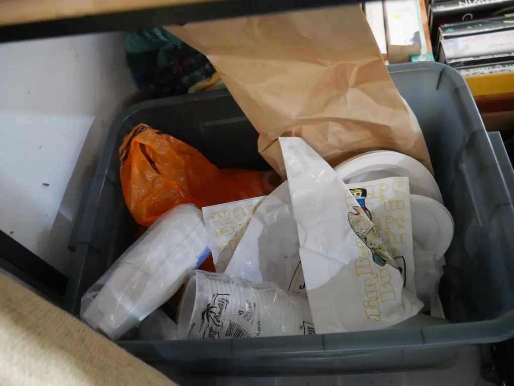 Disposable party/picnic ware Image 1++