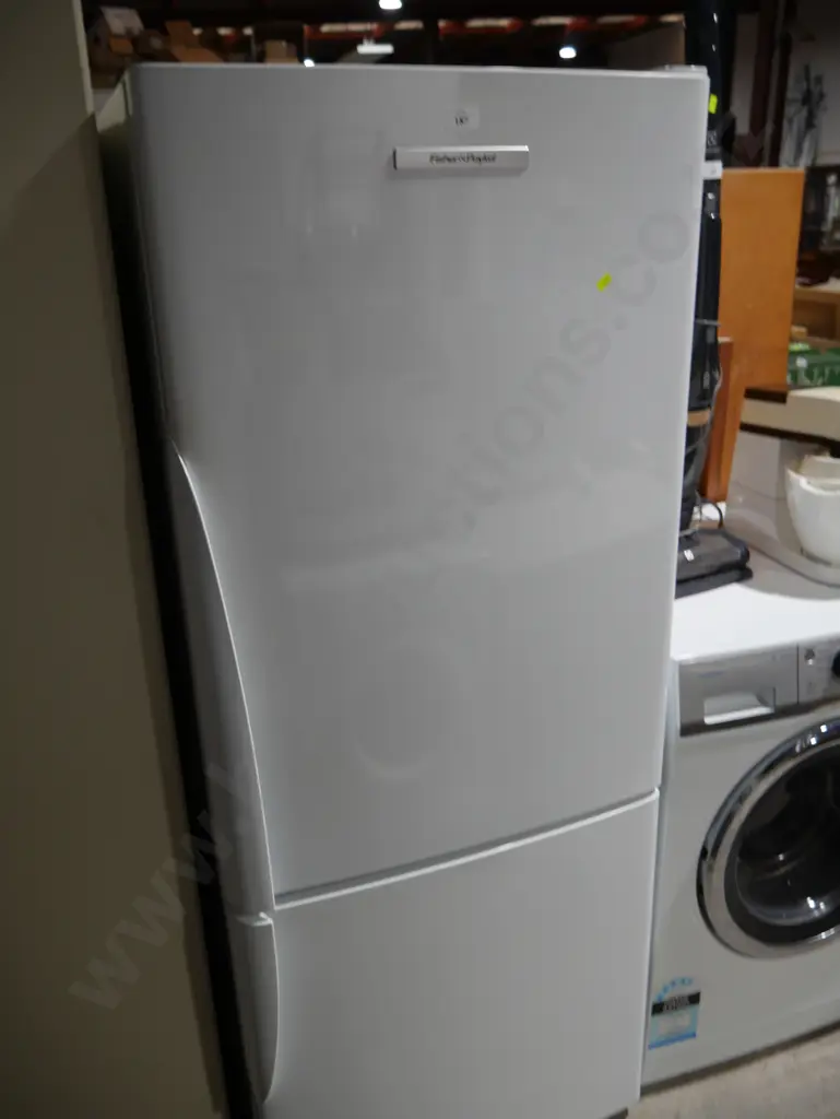 Fisher & Paykel fridge Image 1++