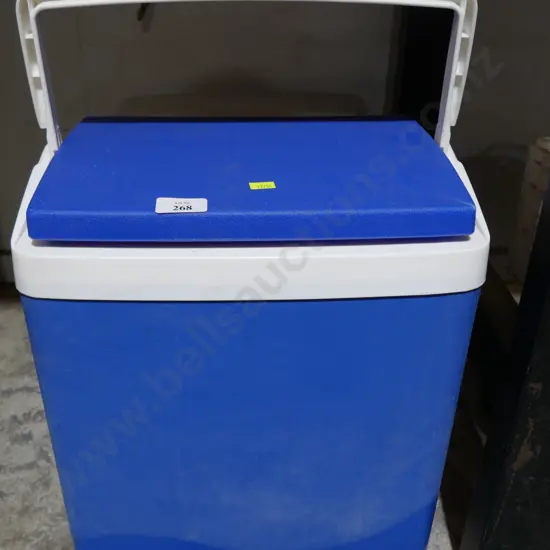 Chilly bin