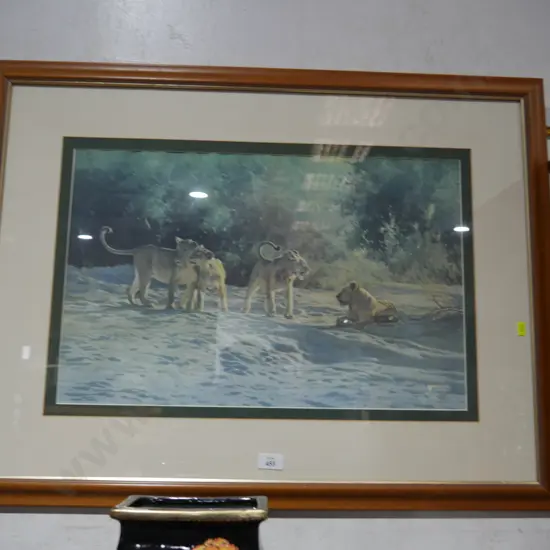 Limited lion print