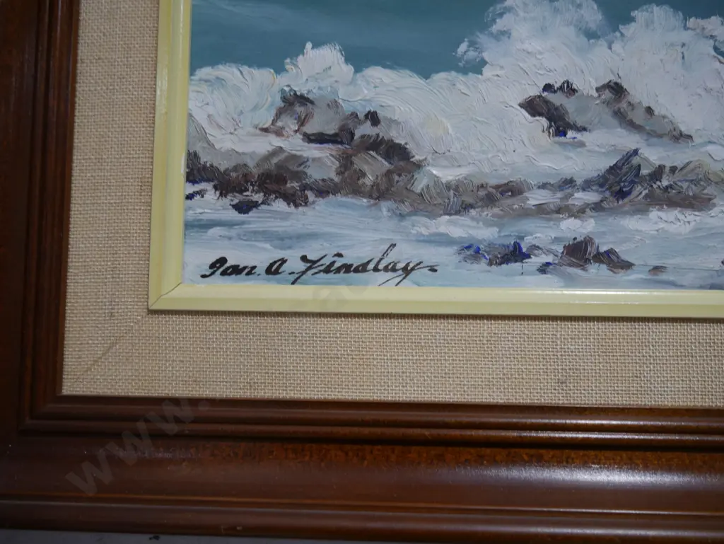 Painting landscape, north of Kaikoura , Ian Finalay Image 1++