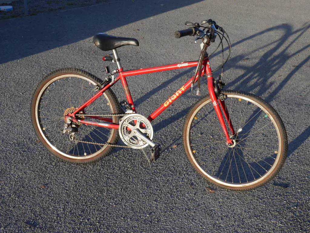 Giant bike Image 1++