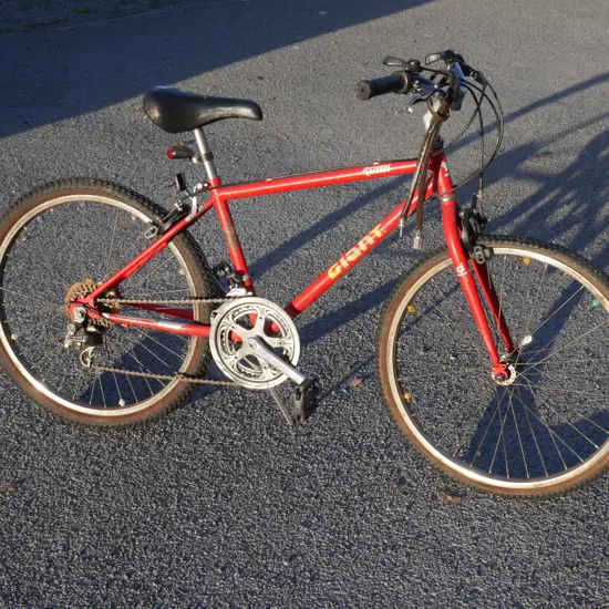 Giant bike