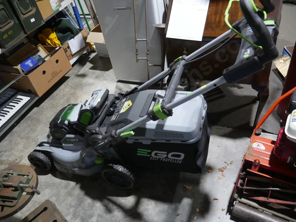 E Go lawnmower Image 1++