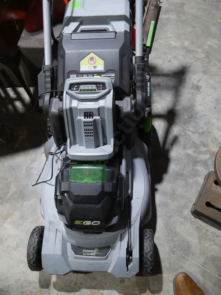 E Go lawnmower Image 1++