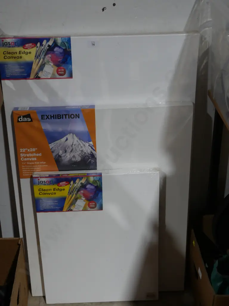 3 canvases Image 1++