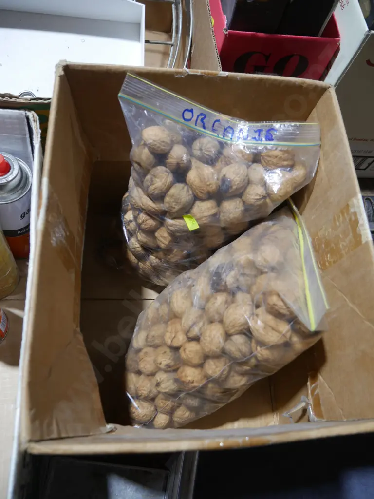 Walnuts Image 1++