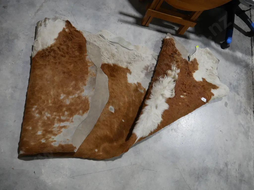 Cow Hide Image 1++