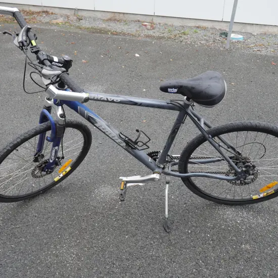 Bauer men's bike