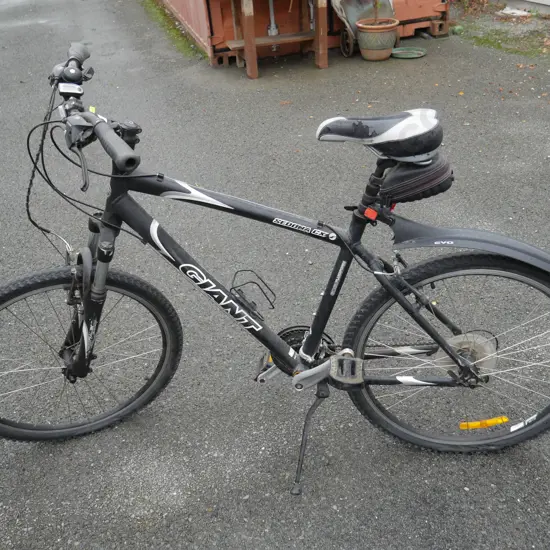 Giant men's bike