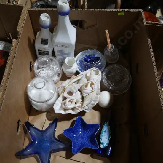 Sea shells etc