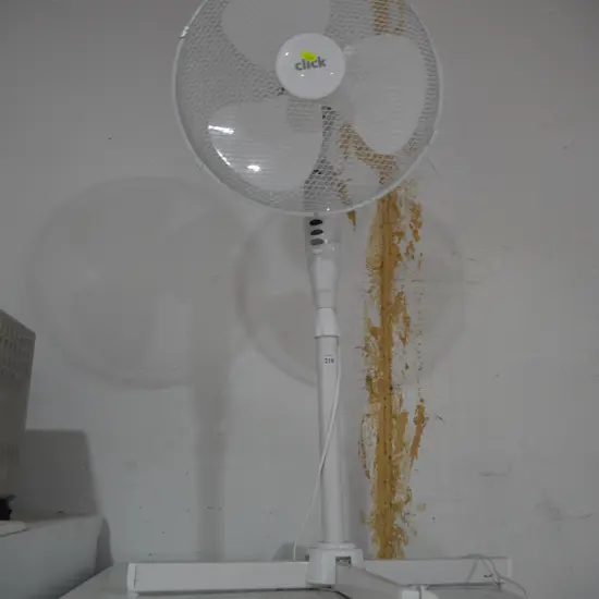 Standard fan