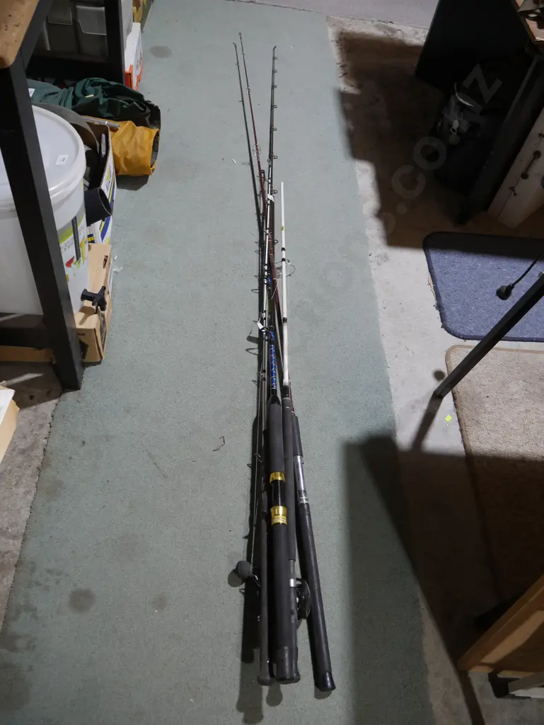 Assorted fishing rods Image 1++