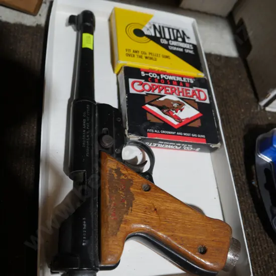 Pellet gun