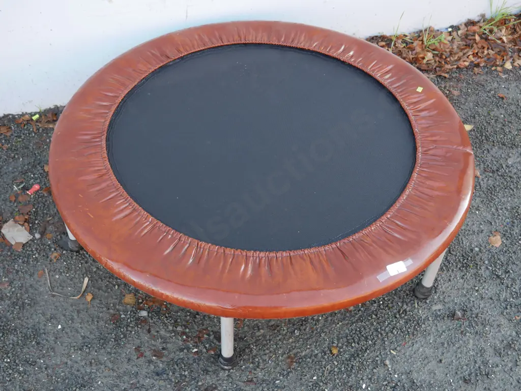 Mini trampoline Image 1++