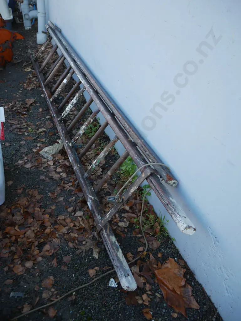 Extending wooden ladder Image 1++