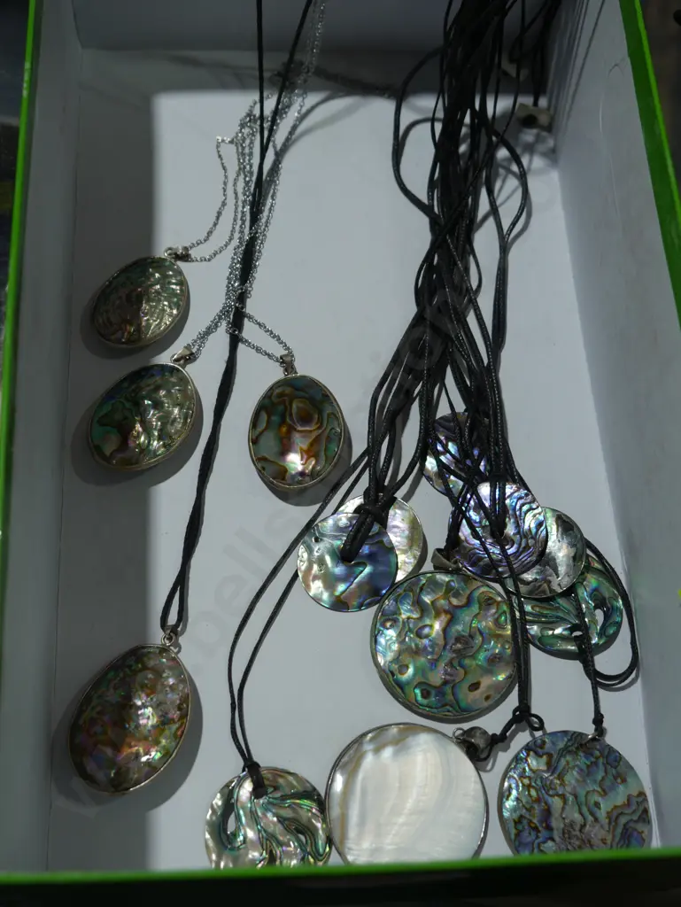 Paua necklaces Image 1++