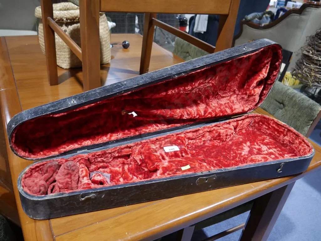 Violin case Image 1++