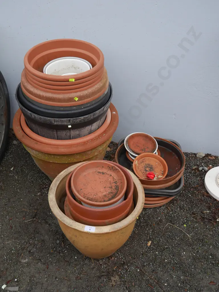 Assorted plant pots Image 1++