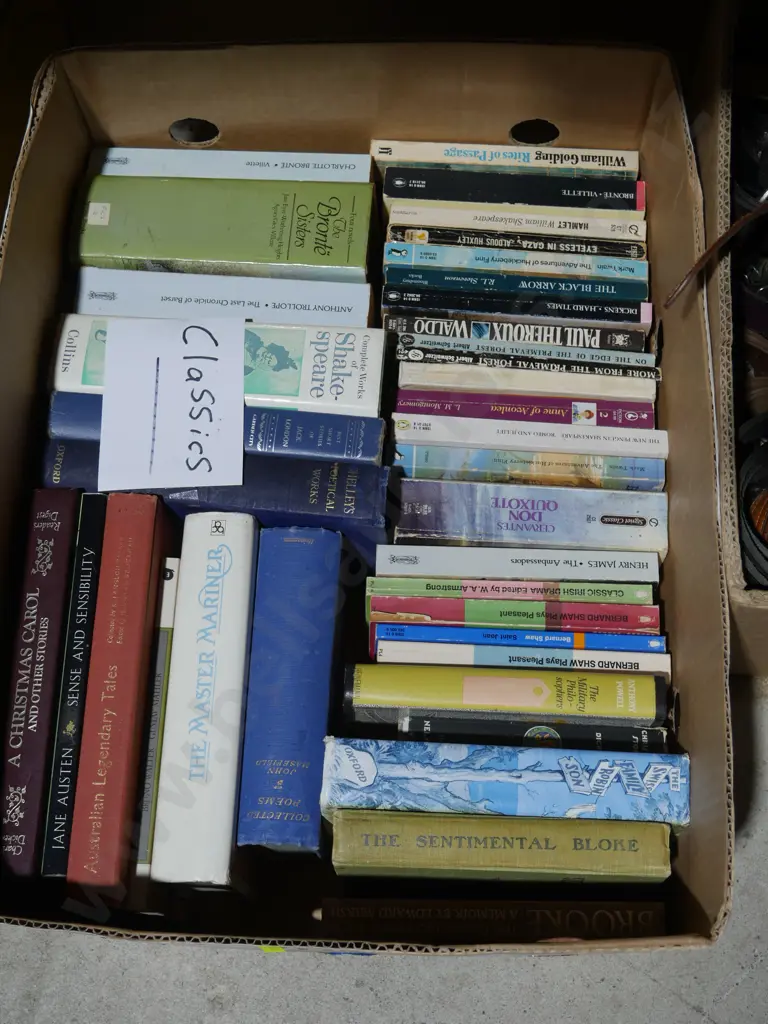 Classics books Image 1++