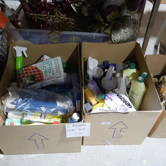 Two boxes of cleaning items