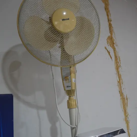 Pedestal fan