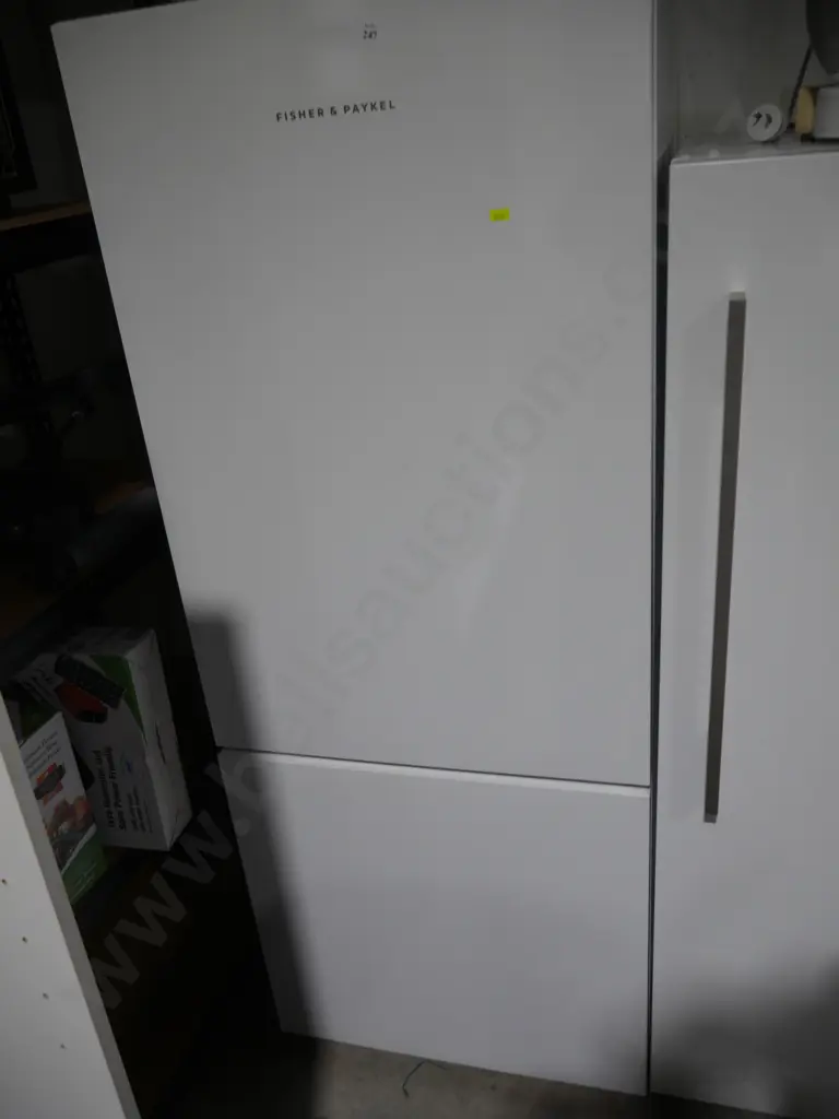 Fisher & Paykel fridge freezer Image 1++