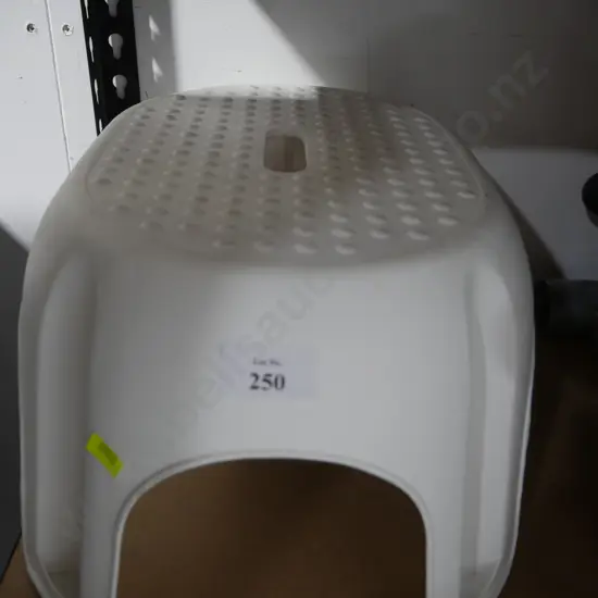 Plastic step