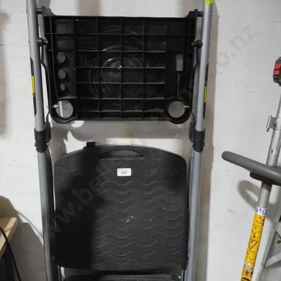 Rhino step ladder
