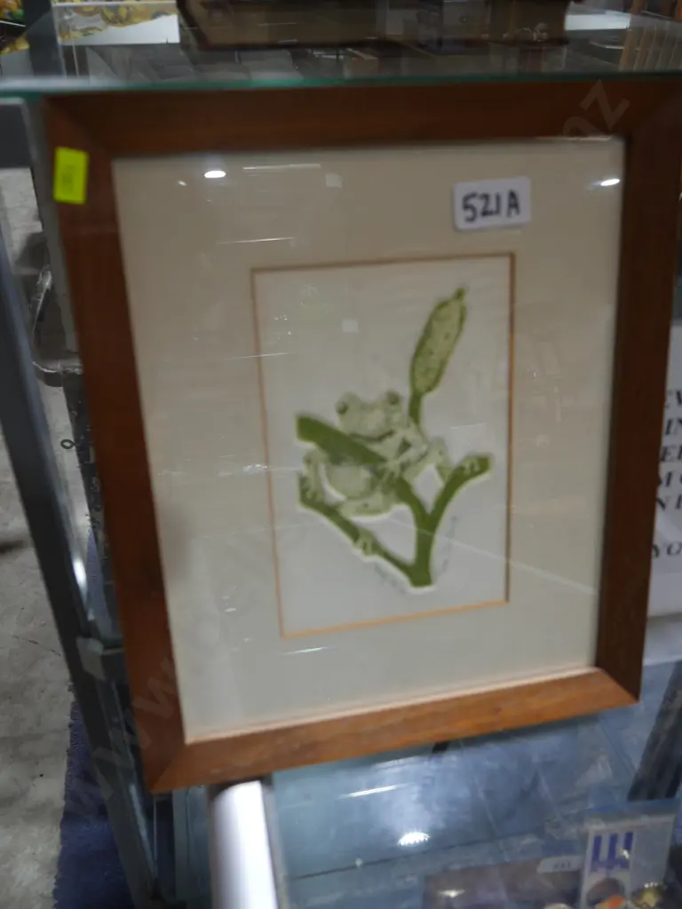 Frog artwork Image 1++