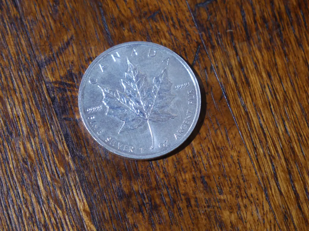 Container of 25 silver Canadian $5 coins, 31gramms of .9999 silver each coin. Image 1++