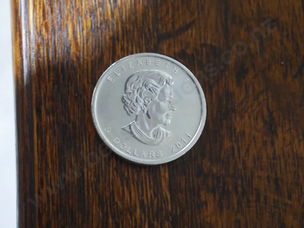 Container of 25 silver Canadian $5 coins, 31gramms of .9999 silver each coin. Image 1++