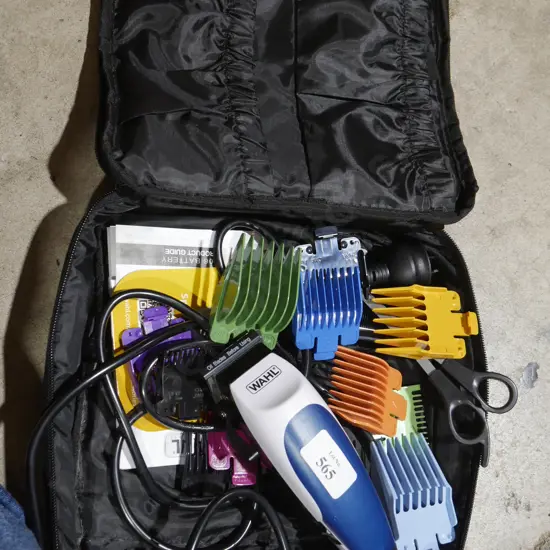 Wahl hair clippers