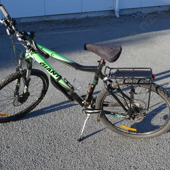 Giant mountain bike