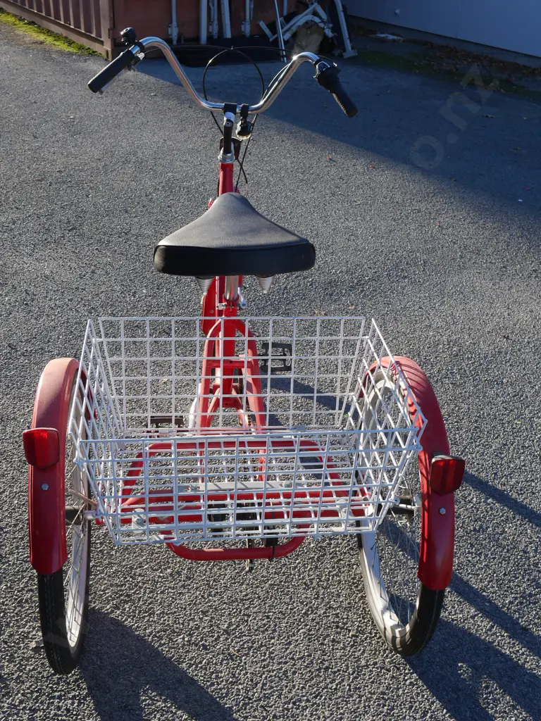 Gomier trike Image 1++