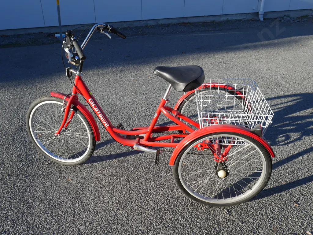Gomier trike Image 1++