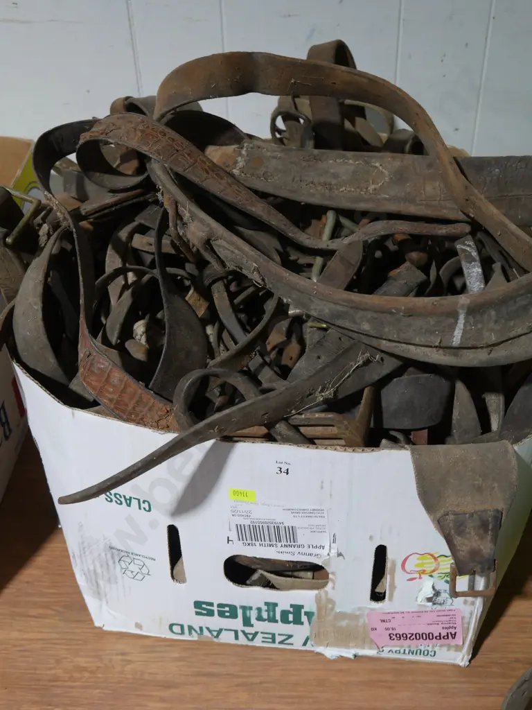 Horse gear Image 1++