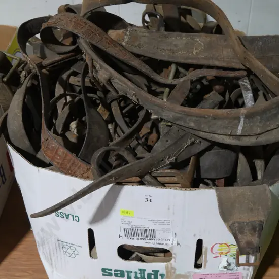 Horse gear