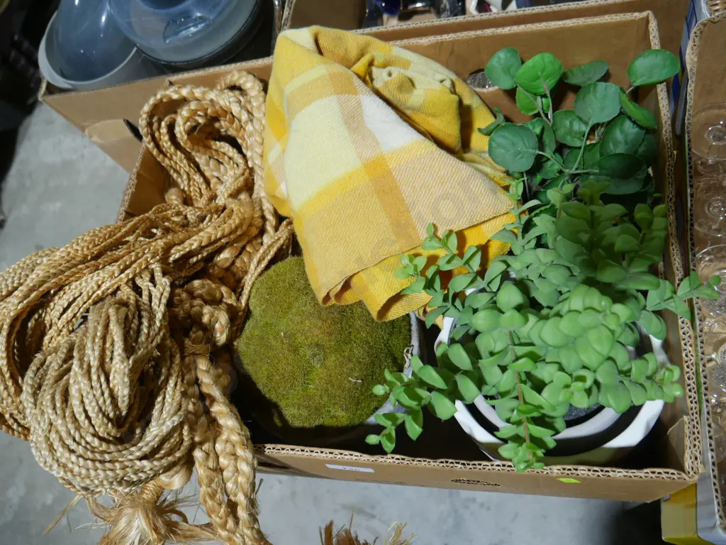 Artificial plants, hammock, woolen blanket Image 1++