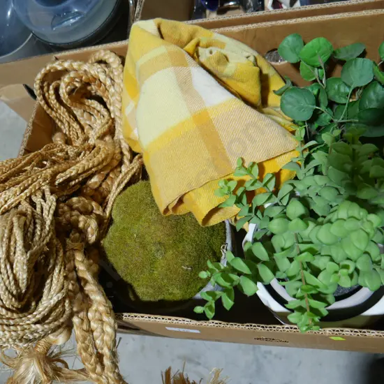 Artificial plants, hammock, woolen blanket